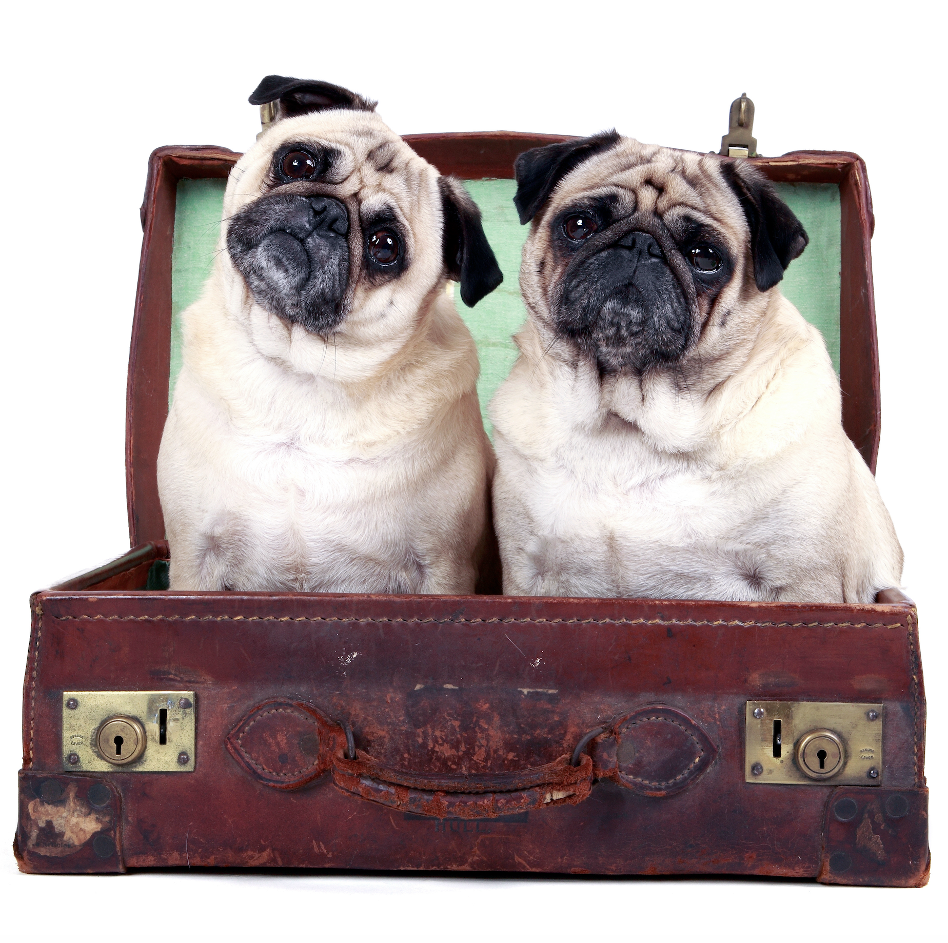 Screenshot 2025-05-07 at 8.25.14 AM